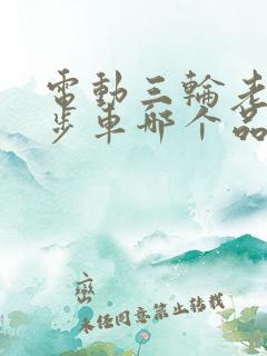 电动三轮老人代步车哪个品牌好