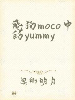 飞狗moco中的yummy