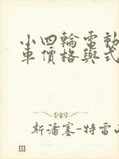 小四轮电动小货车价格与式样