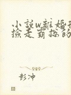 小说w离婚后我捡走霸总的崽》