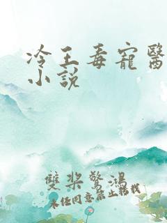 冷王毒宠医妃 小说