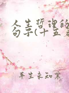 人生哲理的经典句子(十五篇)