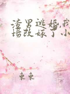 渣男逃婚,我当场改嫁了小说下载txt