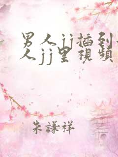 男人jj插到女人jj里视频