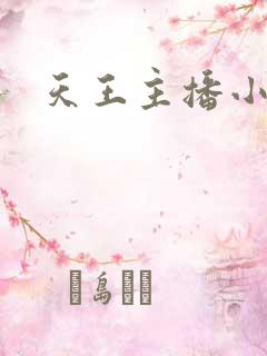 天王主播小说