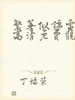 繁华似锦电视剧高清免费观看全集