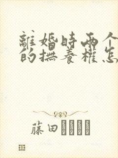 离婚时两个孩子的抚养权怎么判