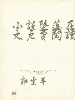 小说坠落在线全文免费阅读