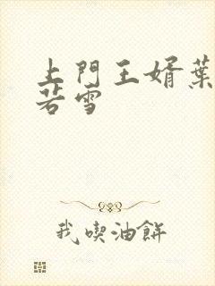 上门王婿叶凡唐若雪