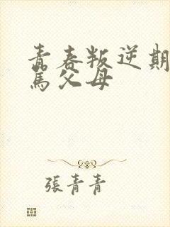青春叛逆期孩子骂父母