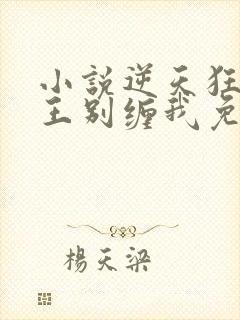小说逆天狂妃邪王别缠我免费txt下载