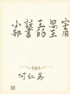小说王思宇是哪部书的主角