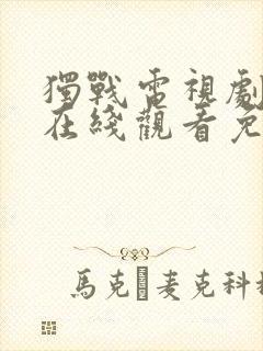 独战电视剧全集在线观看免费高清