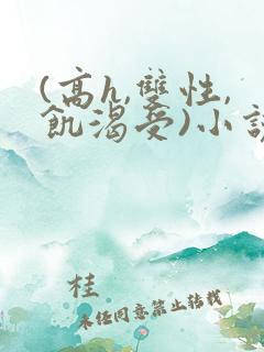 (高h,双性,饥渴受)小说