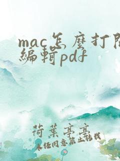 mac怎么打开编辑pdf