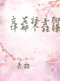 交友语音聊天软件哪个能赚钱