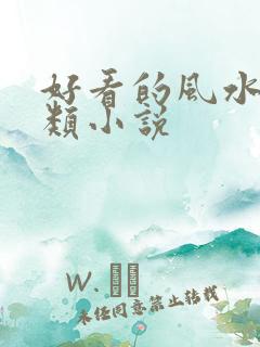 好看的风水相师类小说