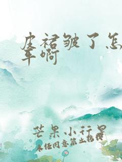 皮裙皱了怎么弄平啊