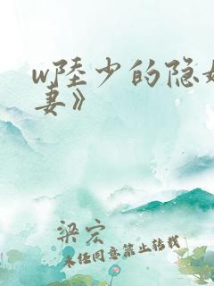 w陆少的隐婚罪妻》