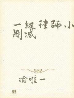 一级律师小说未删减