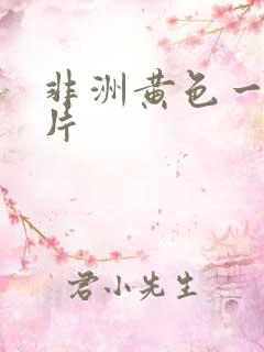 非洲黄色一级大片