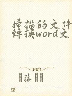 扫描的文件如何转换word文档