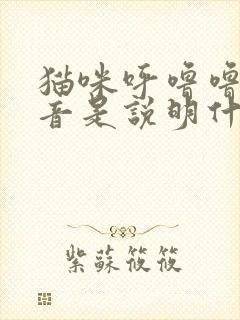 猫咪呼噜噜的声音是说明什么