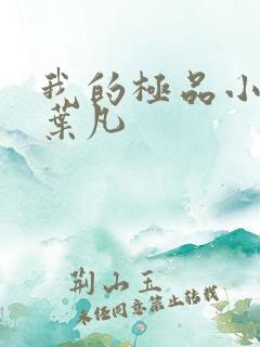我的极品小姨 叶凡