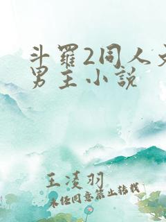 斗罗2同人文双男主小说