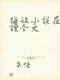 梅姐小说在线阅读全文