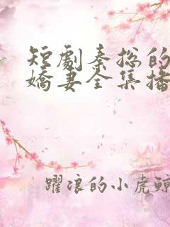 短剧秦总的闪婚娇妻全集播放