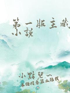 第一版主藏经阁小说