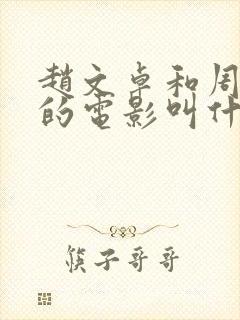 赵文卓和周迅演的电影叫什么名字