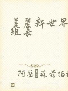 美丽新世界韩漫组长