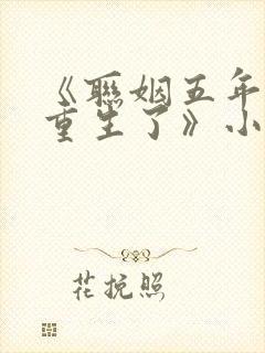 《联姻五年后她重生了》小说
