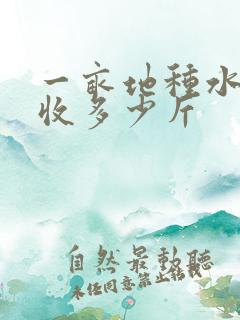 一亩地种水稻能收多少斤