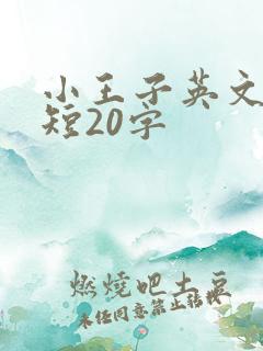 小王子英文版简短20字