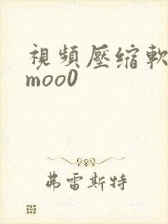 视频压缩软件(moo0