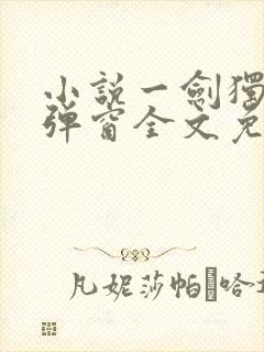 小说一剑独尊无弹窗全文免费阅读