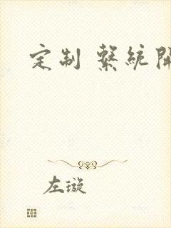 定制 系统开发