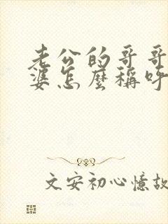 老公的哥哥的老婆怎么称呼