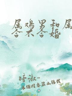 属鸡男和属虎女合不合婚