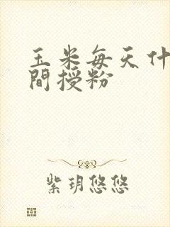 玉米每天什么时间授粉