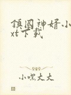 镇国神婿小说txt下载
