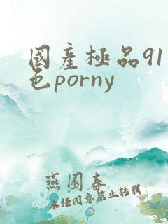 国产极品91九色porny