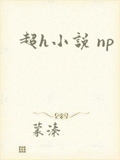 超h小说 np