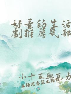 好看的生活电视剧推荐几部前十名