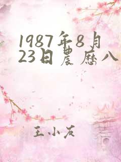1987年8月23日农历八字