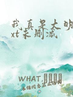 我真是大明星txt未删减
