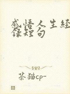 感悟人生经典语录短句